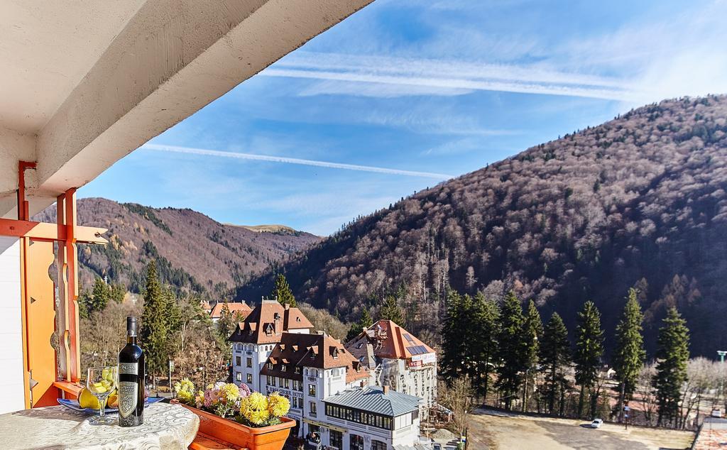 Hotel Hotel Sinaia Sinaia